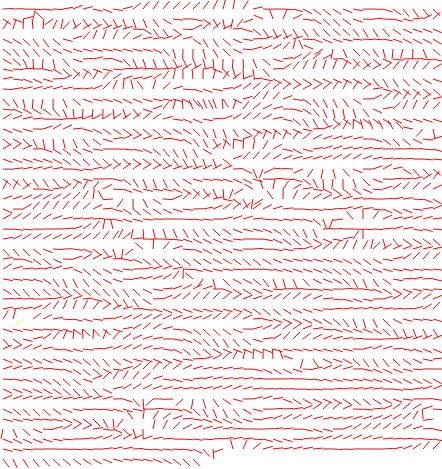 rotation-field thumbnail